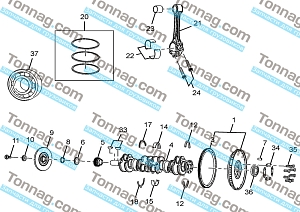 Болт крышки коренного подшипника TATA 613 E2, E3