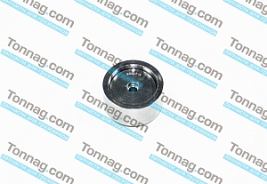 Ролик обводной TATA 613 E4